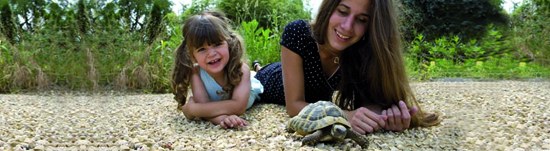 Freude mit Exoten und Reptilien