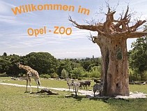 2.Preis: Ein Tag im Opel-Zoo - Tierarztpraxis-Hanau 