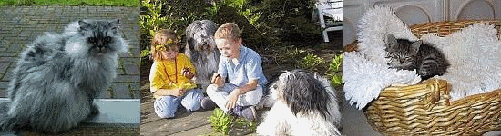 Foto- und Malwettbewerb der Tierarztpraxis