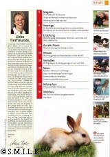 Gesunde Tierliebe, Ausgabe Oktober 2010 | Tierarztpraxis-Hanau.de