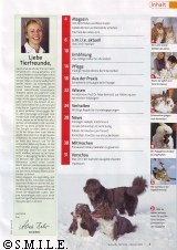 Gesunde Tierliebe, Ausgabe Januar 2011 | Tierarztpraxis-Hanau.de