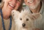 M�rz-Aktion f�r Hundesenioren