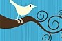 Tierinfo-Hanau `Twittert` (zwitschert)