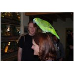 TapHu_de_party_set3_3021.jpg