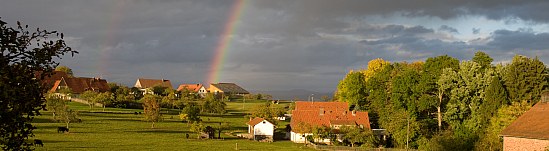 Leseecke - Zeit zum Entspannen - Tierarztpraxis Hanau