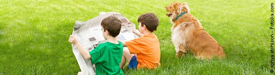Tierinfo - Tierarztpraxis Hanau