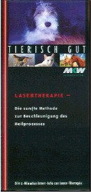 Softlaser-Flyer