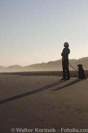 Tiere auf Reisen| Tierarztpraxis-Hanau.de