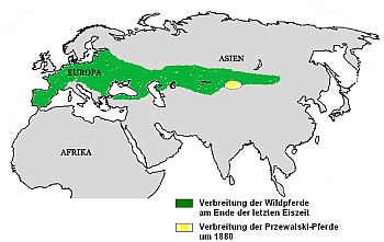 Verbreitung der Wilfpferde | Tierarztpraxis-Hanau.de