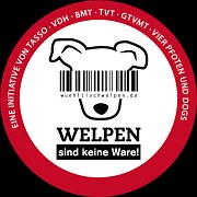 Gegen den Wühltischwelpenhandel!| Tierarztpraxis-Hanau.de