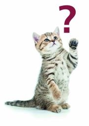 Kotuntersuchung oder Entwurmen? | Tierarztpraxis-Hanau.de Kotuntersuchung oder Entwurmen? | Tierarztpraxis-Hanau.de