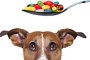 Die tägliche Aufnahme von Vitaminen, Mineralstoffen, ungesättigten Fettsäuren und Proteinen ist fraglos lebenswichtig für Hunde und Katzen.