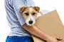 Umzugsstress kann Hundewelpen ganz schön zu schaffen machen und ihre Anfälligkeit für Krankheiten erhöhen.